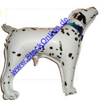 Dalmatiener