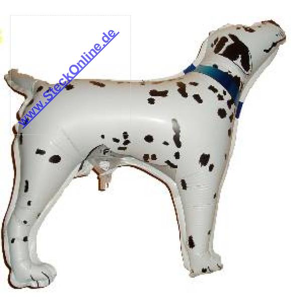 Dalmatiener